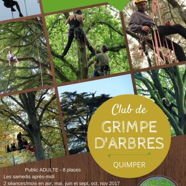 Club adulte de grimpe d'arbres - Quimper