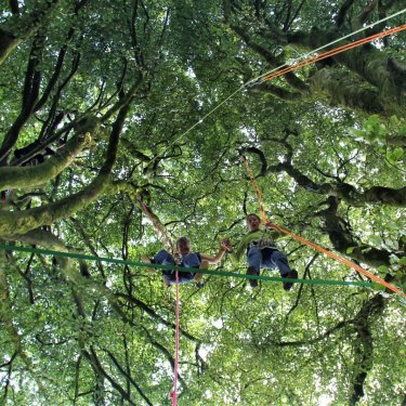 Slackline arboricole