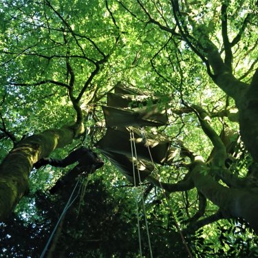 Bivouac en hamacs